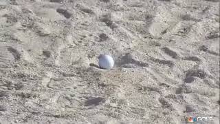 2 Times Patrick Reed CHEATED