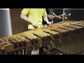 ※속도위반주의※ 왕벌의 비행 flight of the bumblebee pulse marimba cover