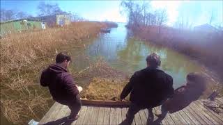 Installation of floating macrophyte wetlands in Born, Germany 2019