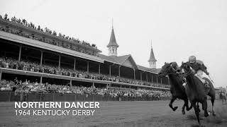 Northern Dancer - 1964 Kentucky Derby