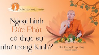 VĐPP - Ngoại hình Đức Phật có thực sự như trong Kinh điển miêu tả - HT Pháp Tông thuyết giảng