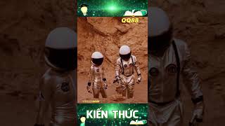 Cuộc Đua Tỷ Đô Khai Phá Mặt Trăng: Mỹ - Trung - Nga Ai Sẽ Thắng? #MặtTrăng #CuộcĐuaKhôngGian #NASA