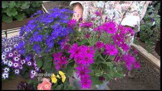 Egan Gardens - GardenPalooza