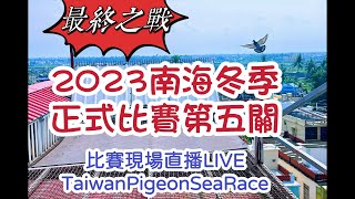 「恆盟賽鴿網」正在直播！2023年冬季南海正式關第五關，比賽現場直播LIVETaiwanPigeonSeaRace #pigenos #賽鴿 #恆盟賽鴿網 #冬季比賽