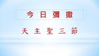 2022/06/12(日) 天主聖三節主日彌撒網路直播