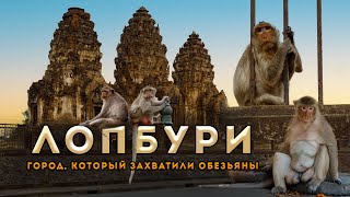 Лопбури - город, который захватили обезьяны