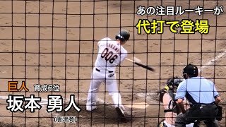 巨人 坂本勇人 (唐津商) あの育成ルーキーが代打で登場  2021/07/09 イースタン 日本ハム戦