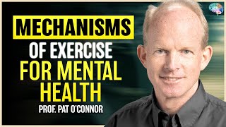 Exercise & Mental Health: Panic Disorder, Anxiety & Adherence | Prof. Pat O'Connor | 46
