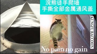 【功夫浣熊】频道：浣熊移除：浣熊夜间爬上屋顶。掀开金属通风口盖，成功进入阁楼。吓坏女屋主。做好预防才是上策。