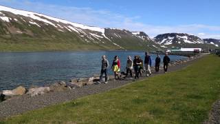 Fisherman Suðureyri