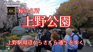 4K【桜の名所～上野公園】ぶらぶら散歩【外国人観光客がたくさん】【上野駅周辺からさくら通りを歩く】【このあと露店屋台の出ている不忍の池へ】【続きもご覧ください】 東京都台東区