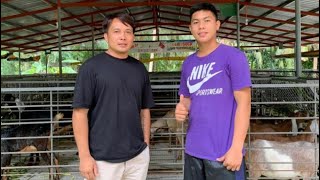 Face the Goat Raiser | JAYSON MACATANGAY OF JCM GOAT FARM Quality Anglo Nubians, Saanen and Lamancha