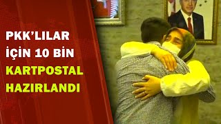 PKK'lıların Teslim Olmaları İçin Dağlara 10 Bin Kartpostal Atıldı | A Haber