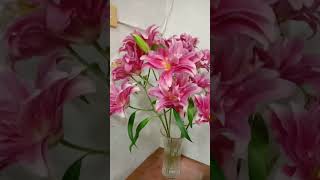 what a beautiful stargazer Lily in a base #beautiful #stargazer #flowerbouquet #youtubeshorts