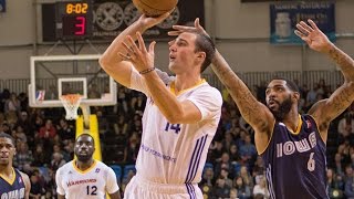 NBA D-League Plays of the Month: January 2016