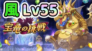 【ドラガリ】風宝竜Lv55【ドラガリアロスト】[Dragalia Lost]