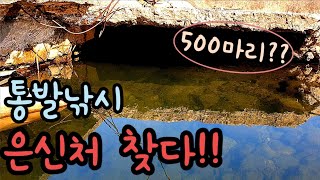 겨울철 물고기는 여기에 다 모인다!! 은신처 찾다! 통발낚시 민물통발 통발미끼 통발낚시레전드 통발대박 장어통발 fishtrap 힐링영상