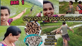 PART -1 ମୋର ଛତୁ ରୁଗଡା ଗୋଟାଇବା ପ୍ରଥମ EXPERIENCE 😂ଚାଲନ୍ତୁ ଦେଖିବେ ବହୁତ ମଜାଲାଗିଲା 🏖️