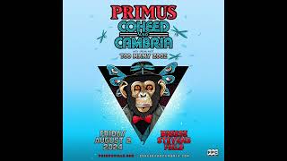 Primus - Live in Madison - Full Set Audio (Breese Stevens Field • 8/2/24)