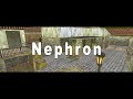 Throwback: Nephron Pistol Quad vs Romania | ClanBase Nations Cup XV | CS 1.6