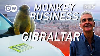 Taxi Driving In Gibraltar: History, Views \u0026 Barbary Macaques