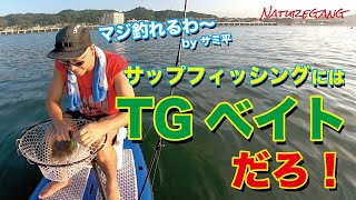 サップフィッシングに欠かせない TGベイト！やっぱり釣れますこのジグは！ #abugarcia #naturegang #サップフィッシング