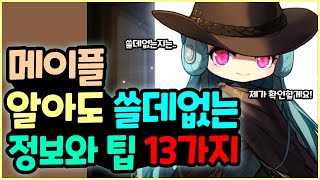 [메이플] 알아도 크게 쓸데없는 정보와 팁 총 13가지!