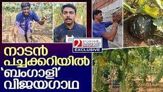 മൊബൈല്‍ ടോര്‍ച്ചിന്റെ വെട്ടത്തില്‍ പച്ചക്കറി കൃഷി ചെയ്യുന്ന ബംഗാളി യുവാവ് | bengali farmer in kerala