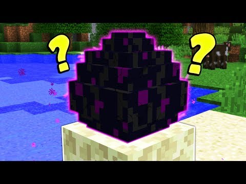 HATCHING THE ENDER DRAGON EGG IN MINECRAFT?! HATCHING THE ENDER DRAGON EGG IN MINECRAFT?!
