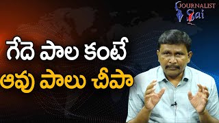 Cow Milk Rate Down  || గేదె పాల కంటే ఆవుపాలు చీపా