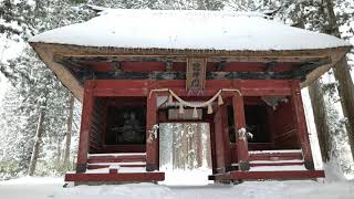 【4K】戸隠神社　奥社