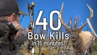 Bow Hunt Bonanza! 40 Kills in 15 Minutes | Eastmans Hunting Journals