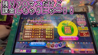 こねこのメダルゲーム日記No.550 カラコロッタまぼろしの桃源郷 なんとなくプレーしてたら・・・。前編