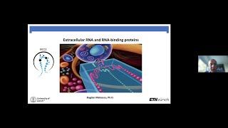 Bogdan Mateescu - RNA binding proteins and exRNAs