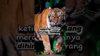 KHODAM MACAN LORENG