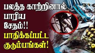 பலத்த காற்றினால் பாரிய சேதம் பாதிக்கப்பட்ட குடும்பங்கள்|SriLanka Tamil News