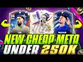 BEST CHEAP META PLAYERS UNDER 100K/250K ON EACH POSITION!💥CHEAP + EXPENSIVE FC 24 ULTIMATE TEAM