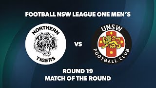 League One NSW Men's Round 19: Northern Tigers v UNSW FC