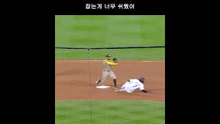 1개의 공도 놓치지 않는 김하성의 완벽한 수비 #4k #4k60fps #야구모음 #mlb #김하성 #sandiegopadres