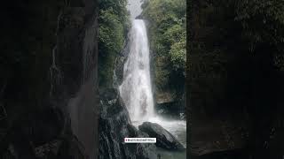 Bhagsunag Waterfall in Monsoon ❤️, Mcleodganj Dharamshala #short#shorts#ytshorts#travel#viral