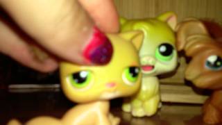 LPS trade for lps obsessed!! (please tell me where you live and your address)!