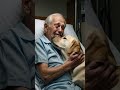 heartbreaking final goodbye between dog and owner shorts