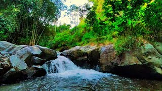 Peaceful Waterfall and Nature Sounds for Sleep Calming Water Sounds for Stress Relief