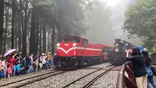 阿里山神木車站啟用 蒸汽火車、柴油車難得同框