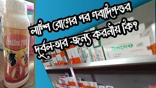 লাম্পি রোগের পর গবাদিপশুর দুর্বলতার জন্য করনীয়#Lumpy skin disease#Animal Health BVMC