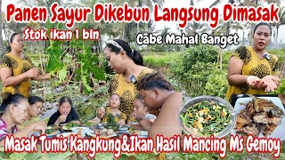 PANEN KANGKUNG,TERONG,CABE‼️BONGKAR IKAN HASIL MANCING~MASAK SAMBEL IKAN TUMIS KANGKUNG PAKEK TUNGKU