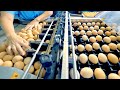 Homegrown | North Carolina Eggs