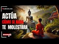 ACTÚA COMO SI NADA TE  MOLESTARA | Esto es muy PODEROSO |   Budismo  |   Sabiduría Zen