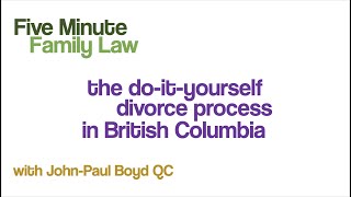 Bonus content! The do-it-yourself divorce process