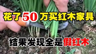 花了50万买的红木家具，结果发现全部都是假红木，最后直呼上当